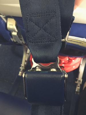 Woman Gets Body-Shamed, Asks for Seat Belt Extender on Flight