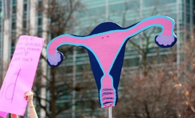 pink uterus poster Social Justice And Birth