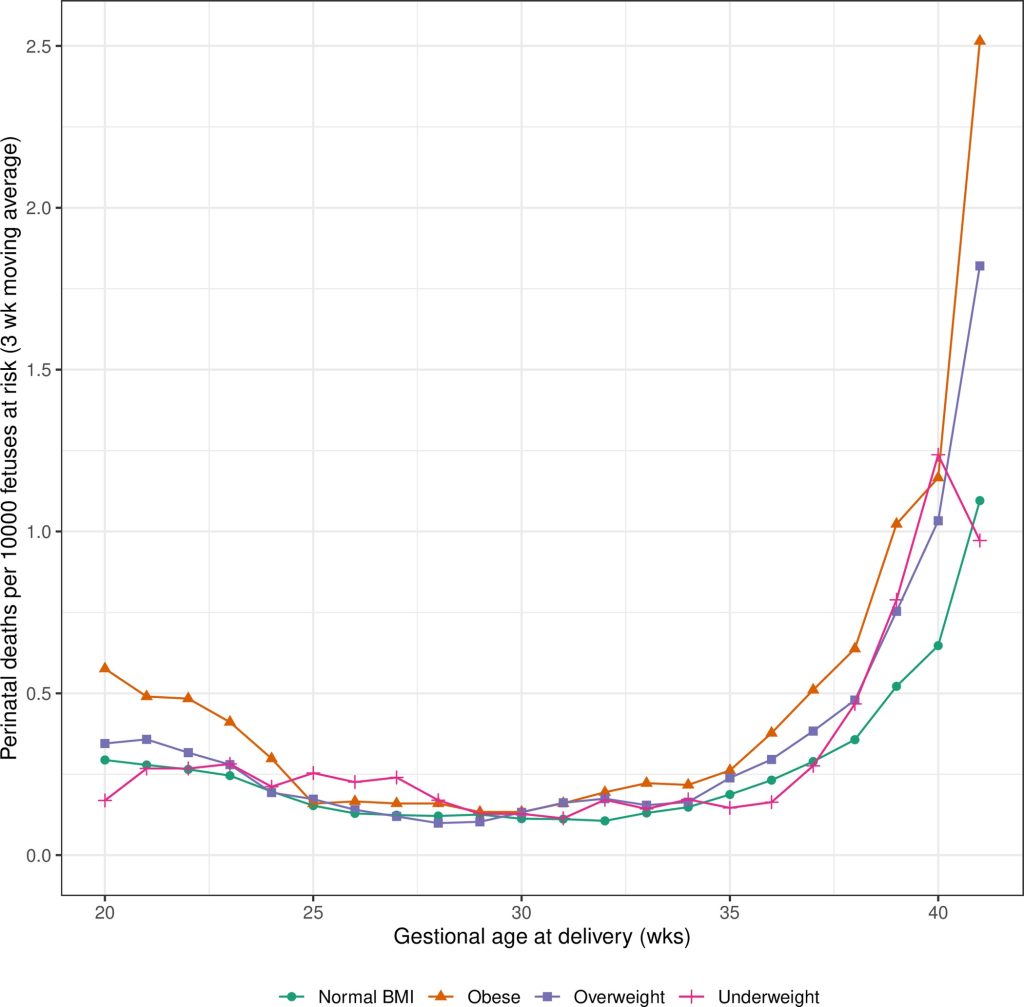 Plus-size motherhood (32), Plus-sizeness is genetic. The da…