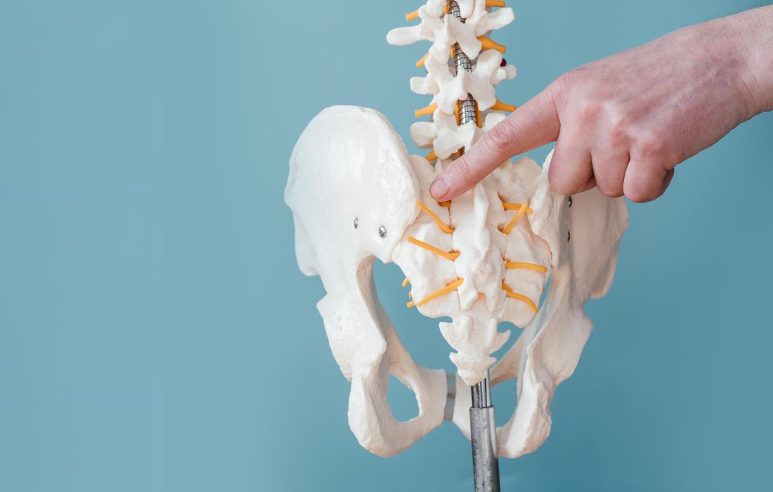 chiropractor pointing at pelvis