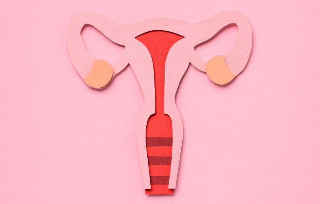 female reproductive health model for perimenopause