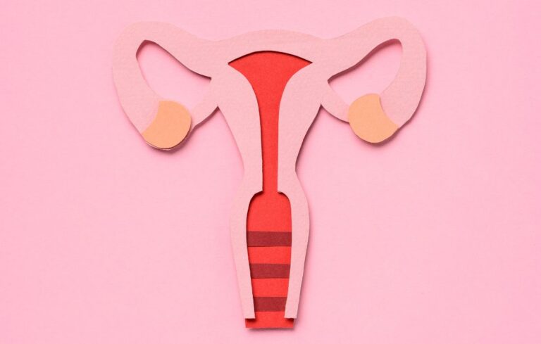 female reproductive health model for perimenopause