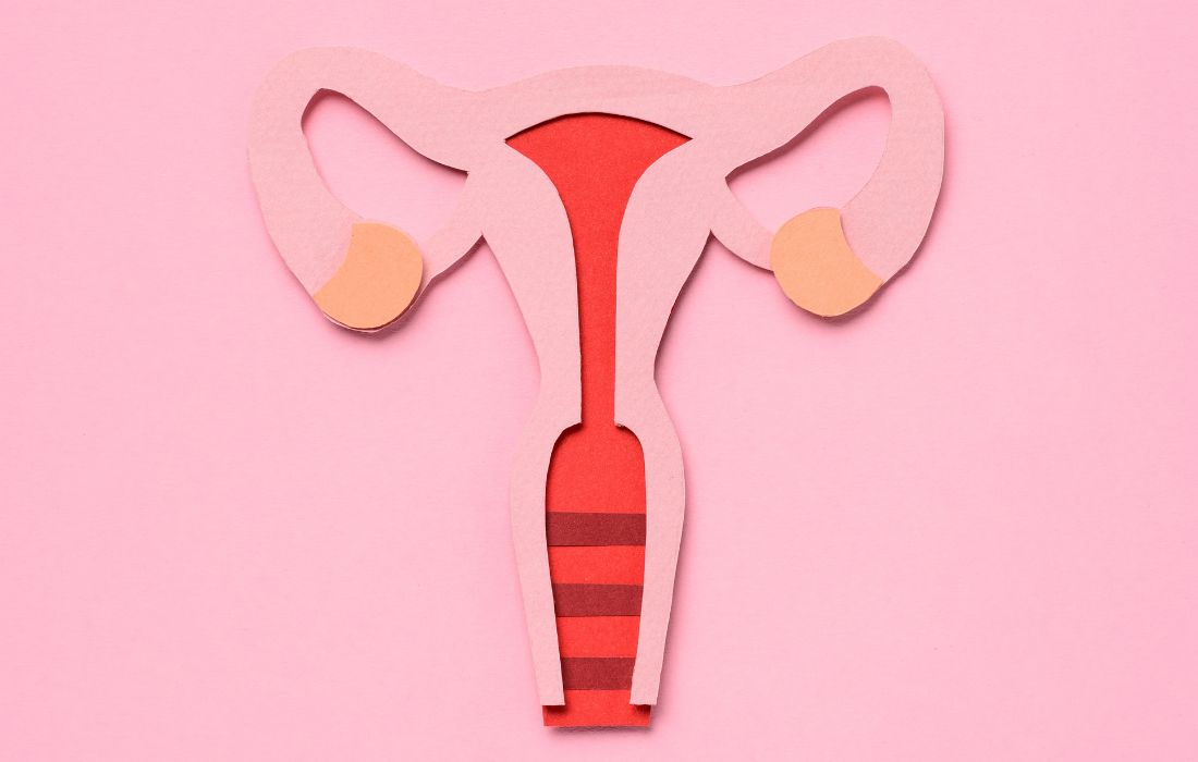 female reproductive health model for perimenopause